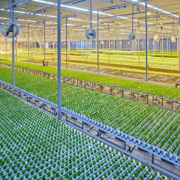 Food Security & Sustainable Agriculture