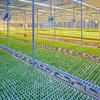 Food Security & Sustainable Agriculture